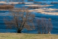 048_Biebrza - kwiecien 2011